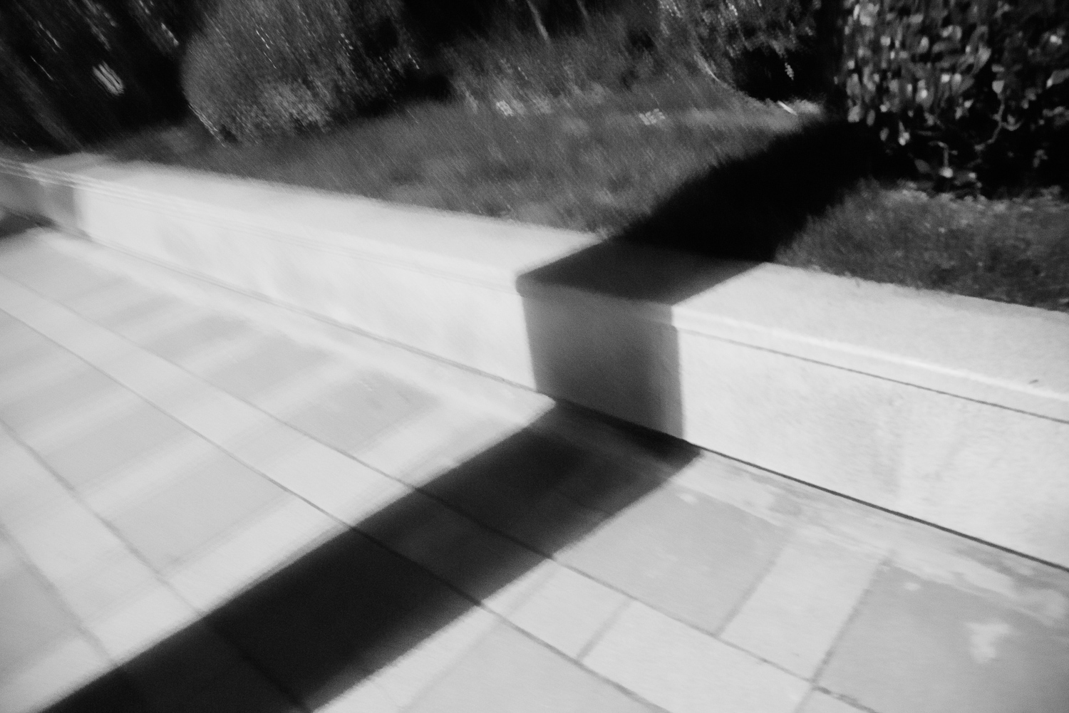 上海 2020 image 41